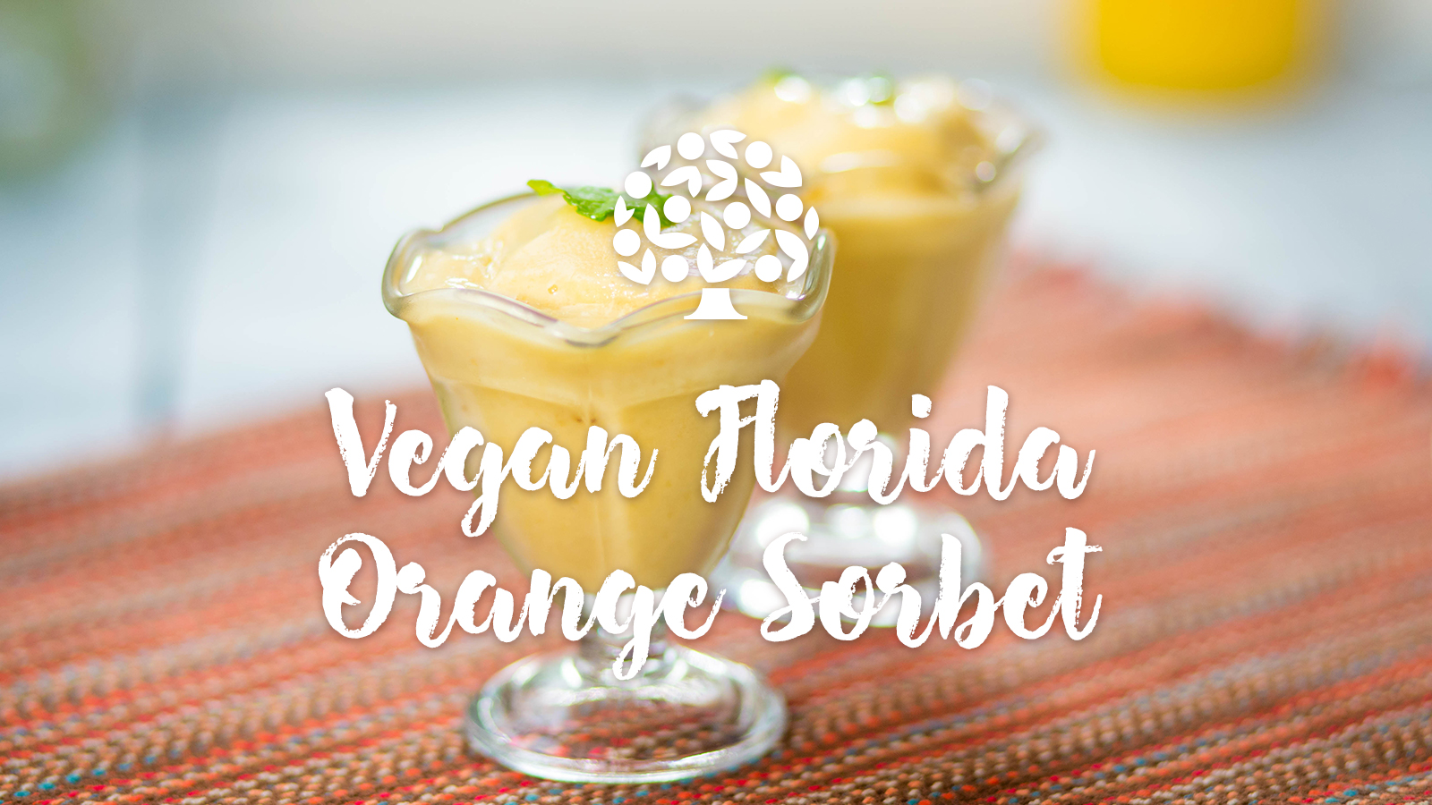 Vegan Florida Orange Sorbet Florida Orange Juice