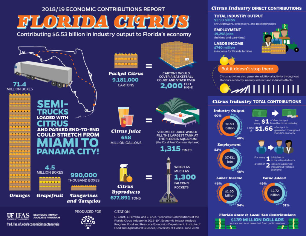 Economic Contributions Florida Citrus 2018-2019 infographic