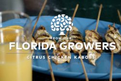 Citrus Chicken Kabobs