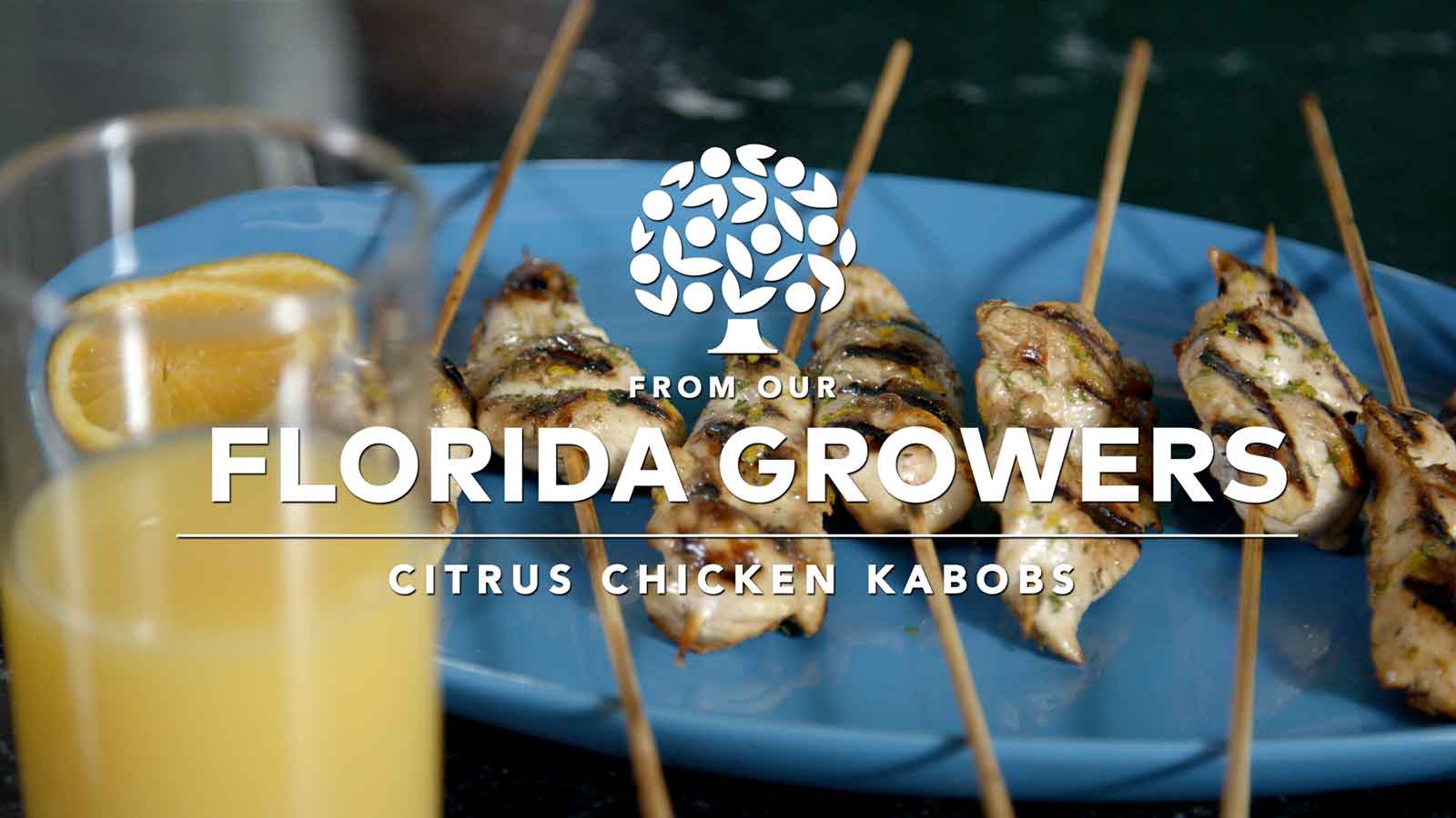 Citrus Chicken Kabobs