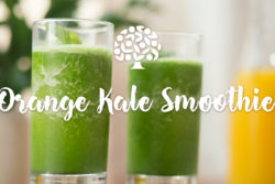 image of two kale smoothies