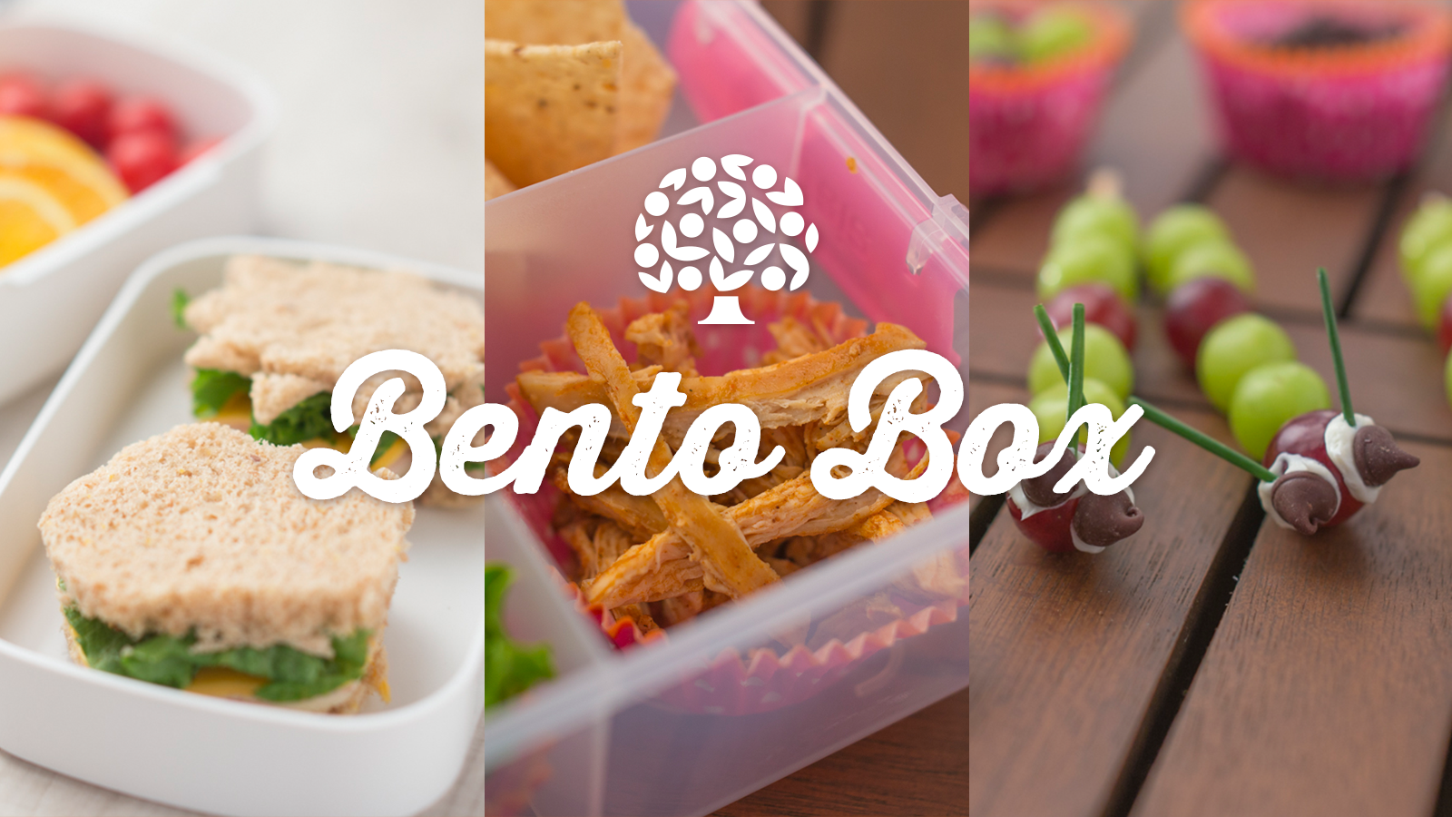 Kid Friendly Bento Box