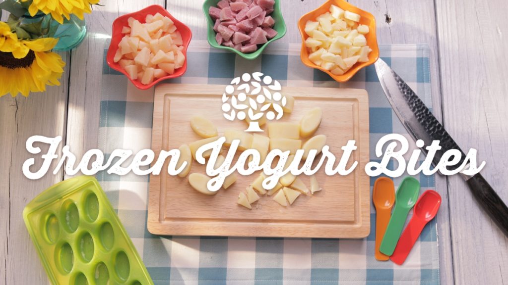 Frozen Yogurt Bites Recipe