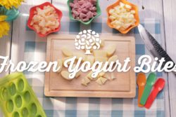 Frozen Yogurt Bites Recipe