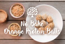 No Bake Florida Orange Protein Balls