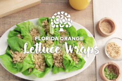 Florida Orange Lettuce Wraps