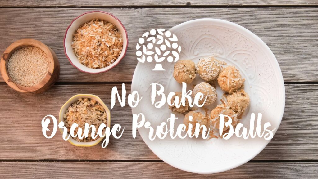 No Bake Orange Protein Balls