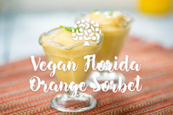 Vegan Orange Sorbet