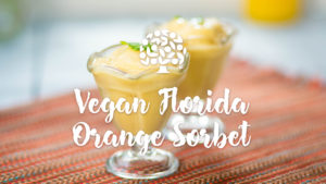 Vegan Orange Sorbet