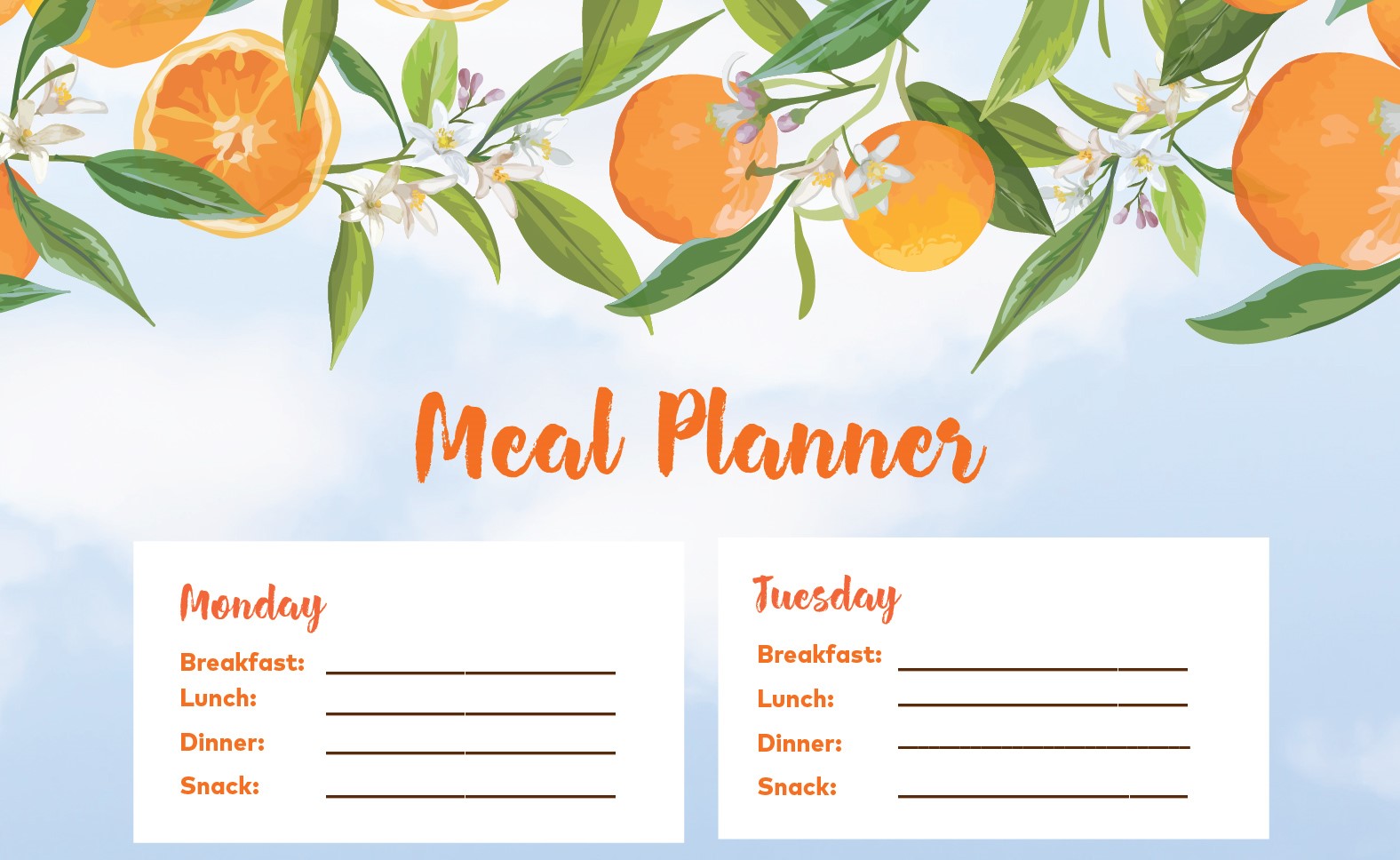 Meal Plan
