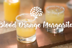 Blood Orange Margarita
