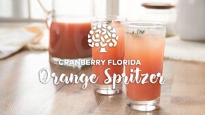 Cranberry Florida OJ Spritzer
