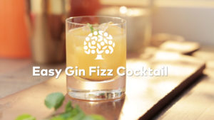 Gin Fizz Cocktail