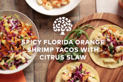 spicy florida orange shrimp tacos and citrus slaw on table