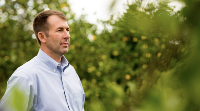 Grower Steve Johnson in a grove