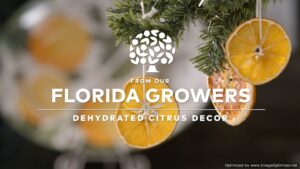 florida growers dehydrated citrus decor