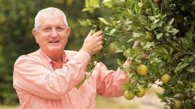 Marty McKenna in a grove