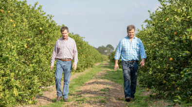 Wheeler brothers in their grove