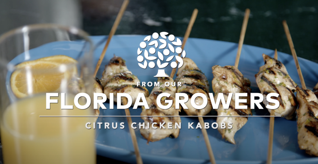 Lunch Recipes for Back to School 4 chicken kabob
