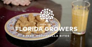 Florida growers baked mozzarella bites