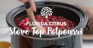 florida citrus stove top potpourri