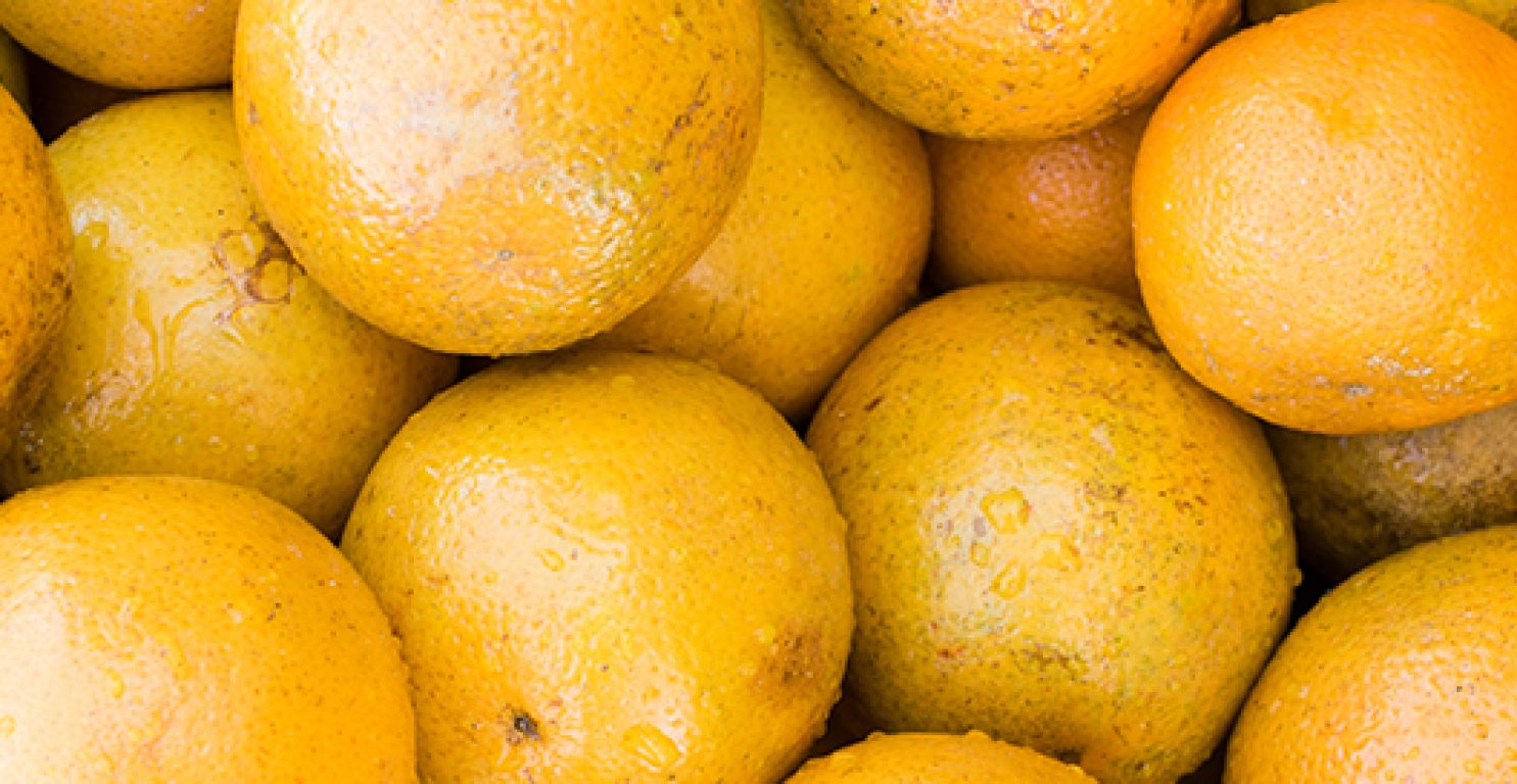 box of Florida oranges