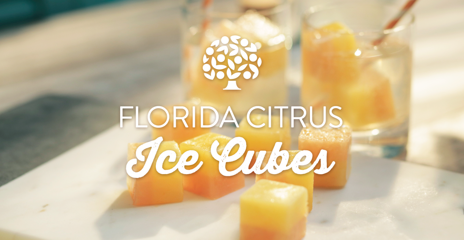 Florida Citrus Ice Cubes