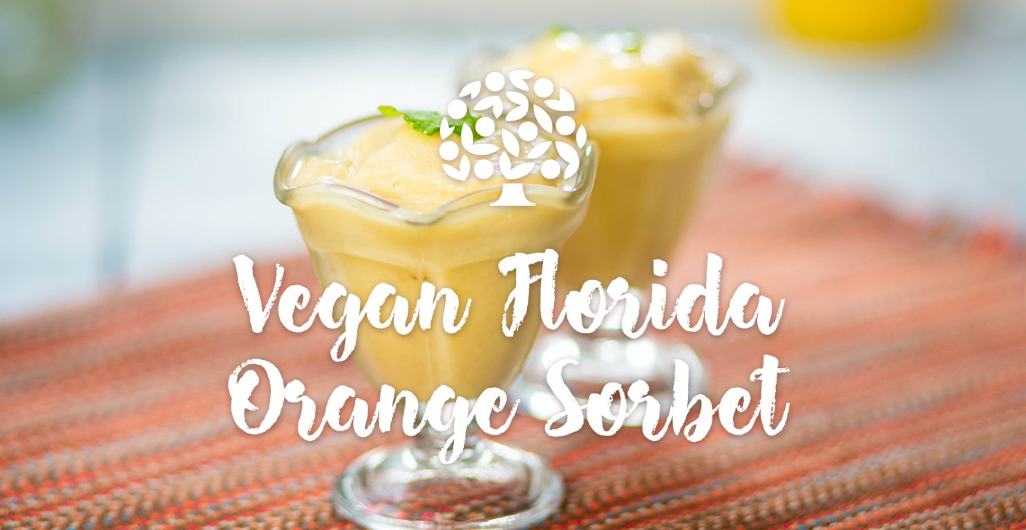 Vegan Orange Sorbet