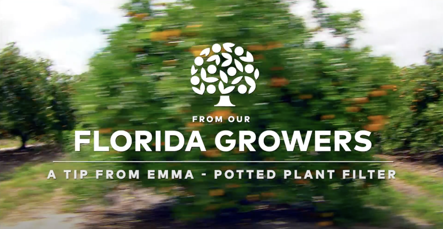 meet the growers a tip from Emma potted plants filter
