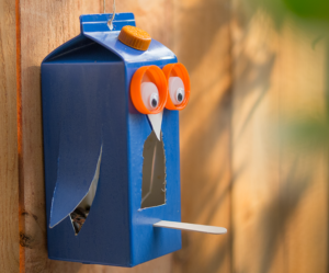 FDOC bird feeder