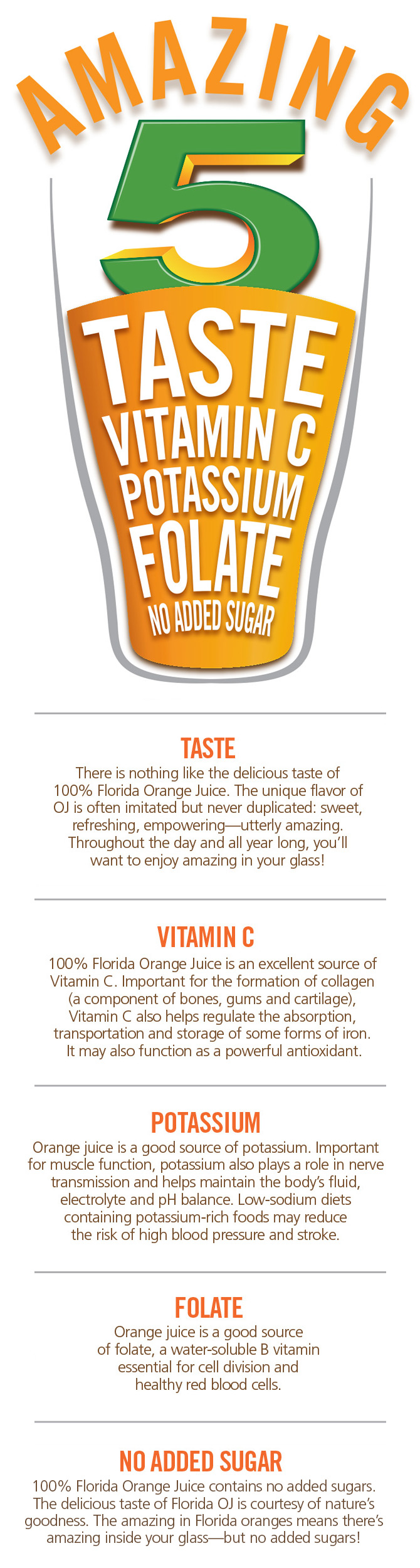 Amazing 5 Infographic