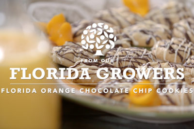 orange-chocolate-chip cookies