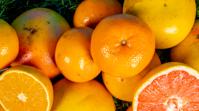 oranges, tangerines, and grapefruits on the ground