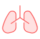 Respiratory Health lungs icon