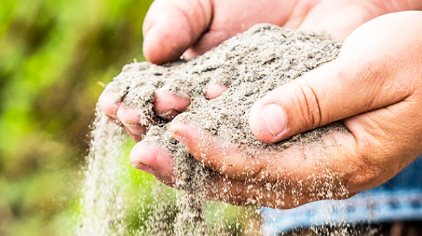 photo of hands holding some rich Florida sand