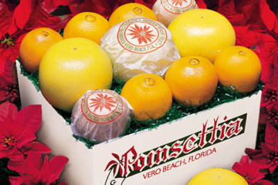 Photo of a Poinsetta Groves citrus box
