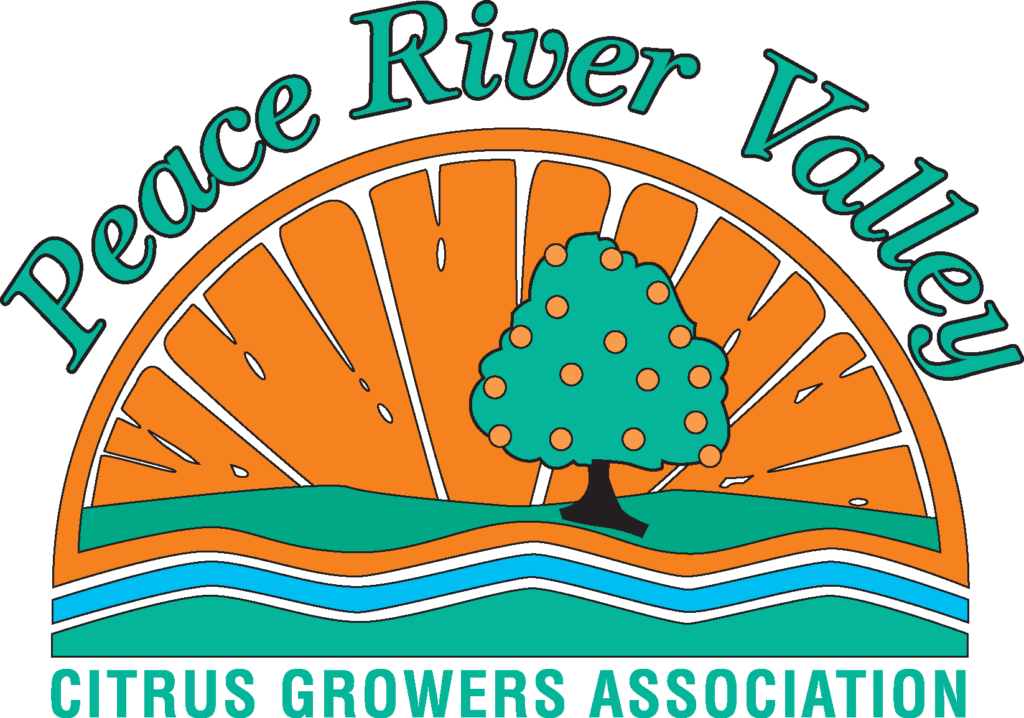 1993 PRVCGA logo