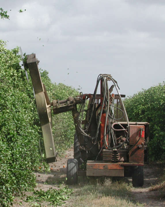 A Bustling Industry 4 1960 hedging equipment