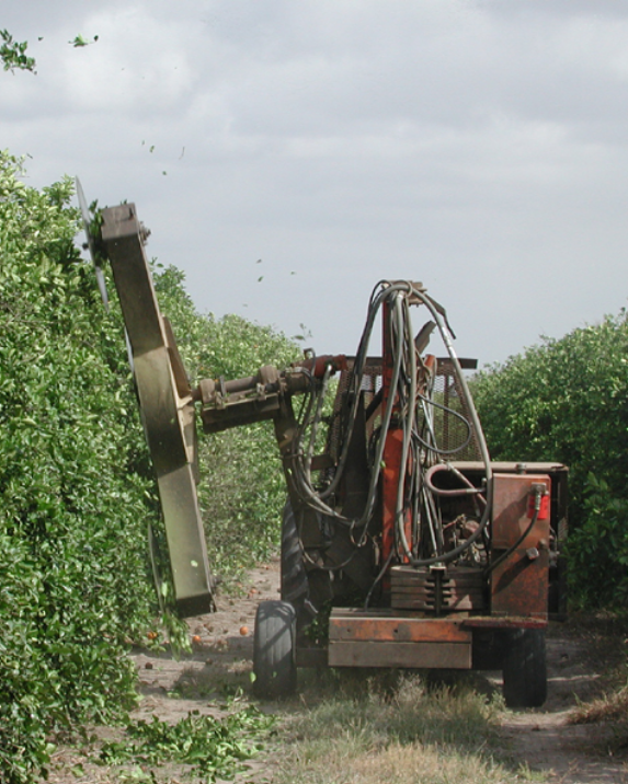 1960 hedging equipment