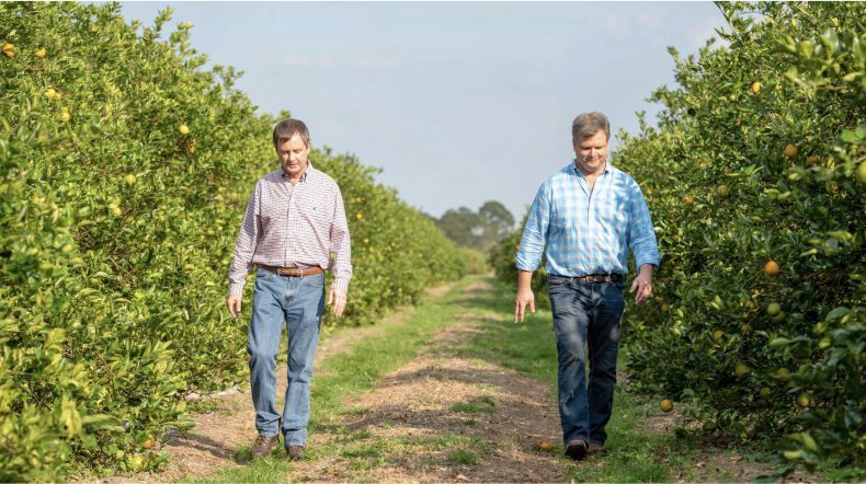 Wheeler Brothers in an orange grove