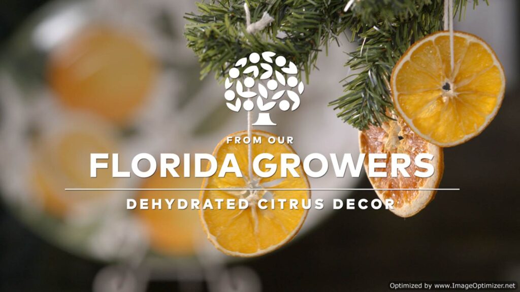 Dehydrated Citrus Decor
