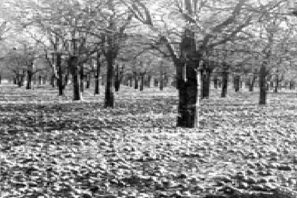 1894 1895 2
