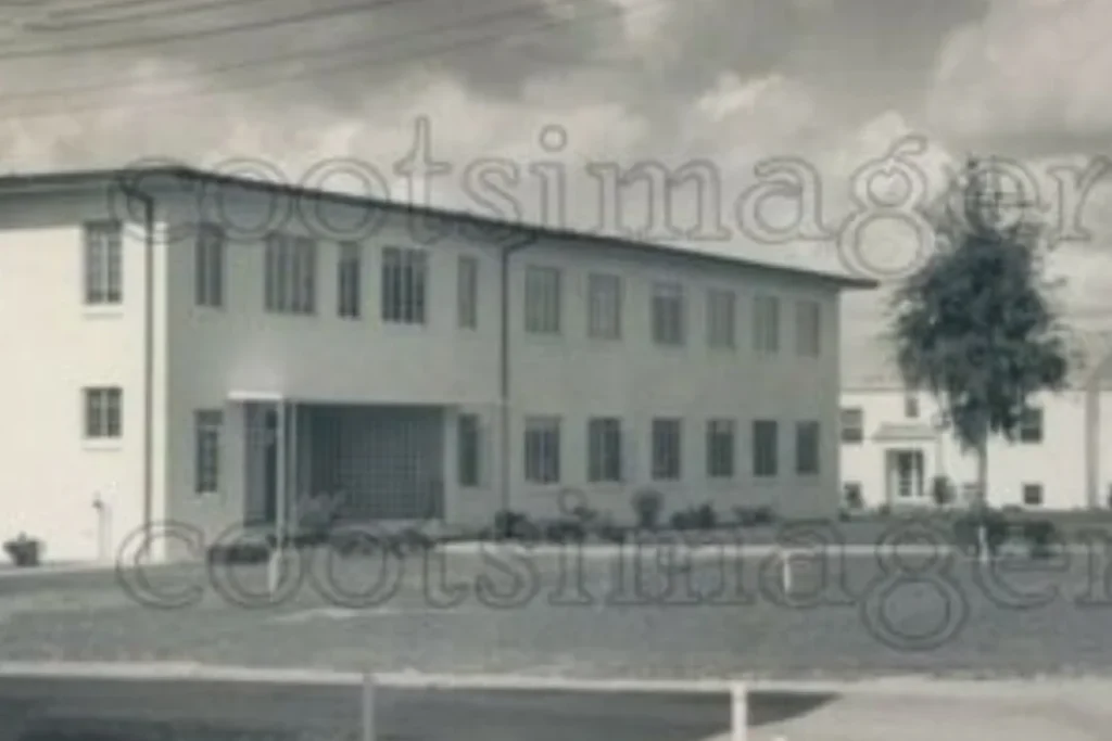 1953