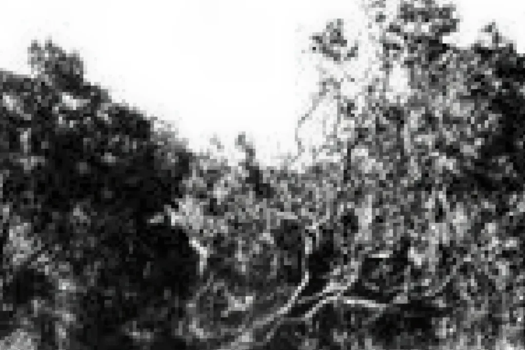 1957