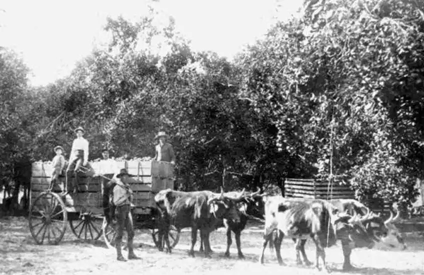 Image Early Years