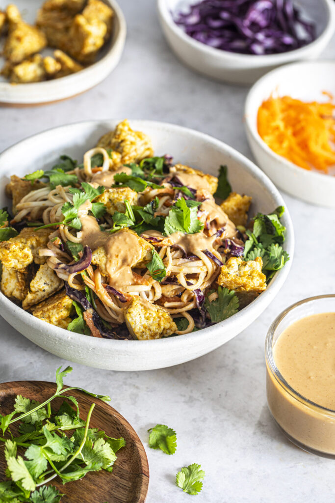 Fdoc Oj Emilie Gaillet Vegan Oj Peanut And Tofu Satay 2 15502 Scaled 1