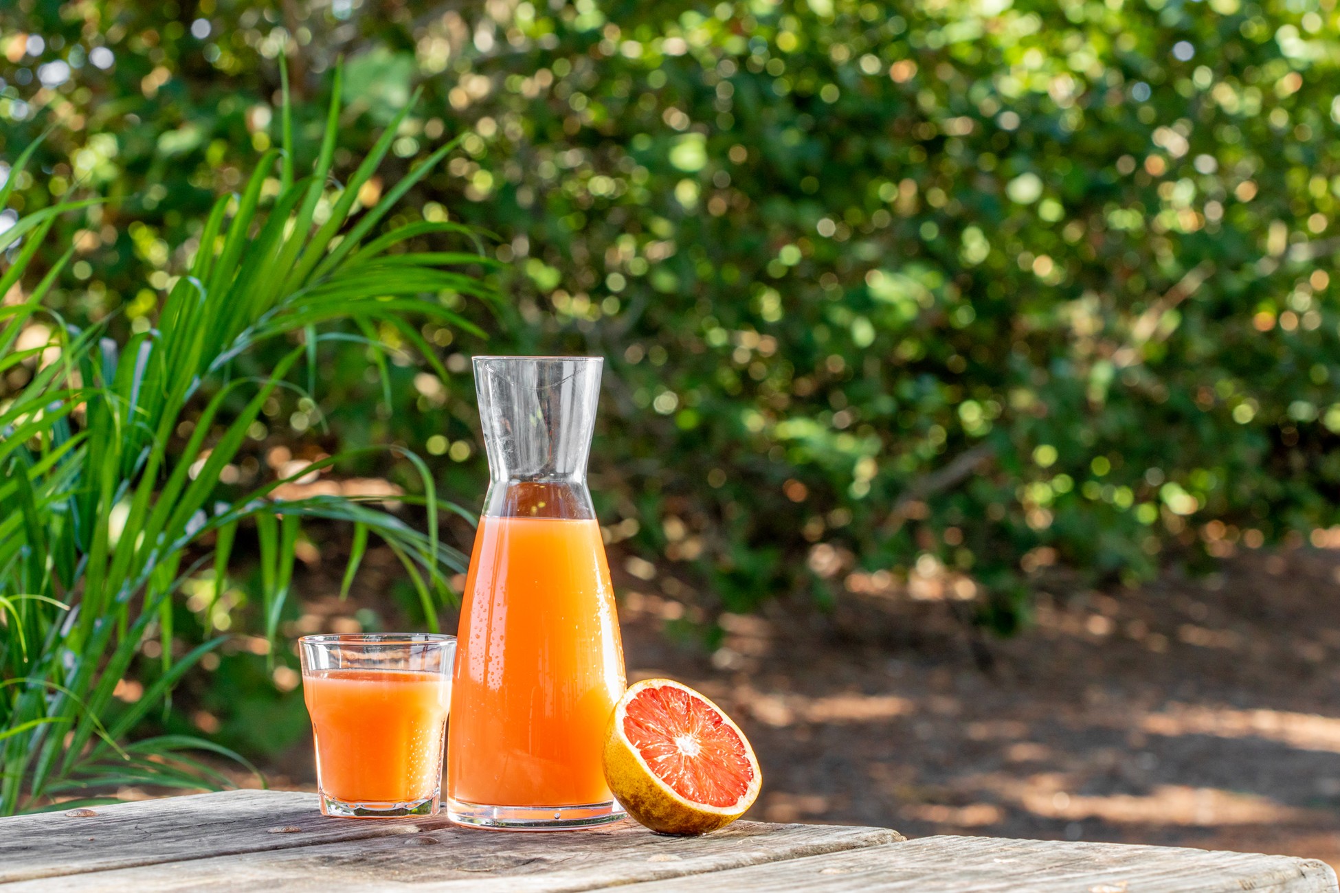 Grapefruit juice carafe