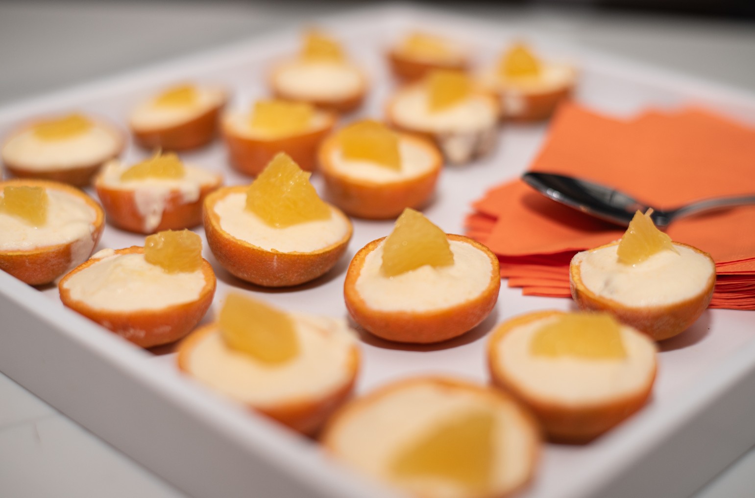 Florida Orange Juice Cranberry Semifreddo