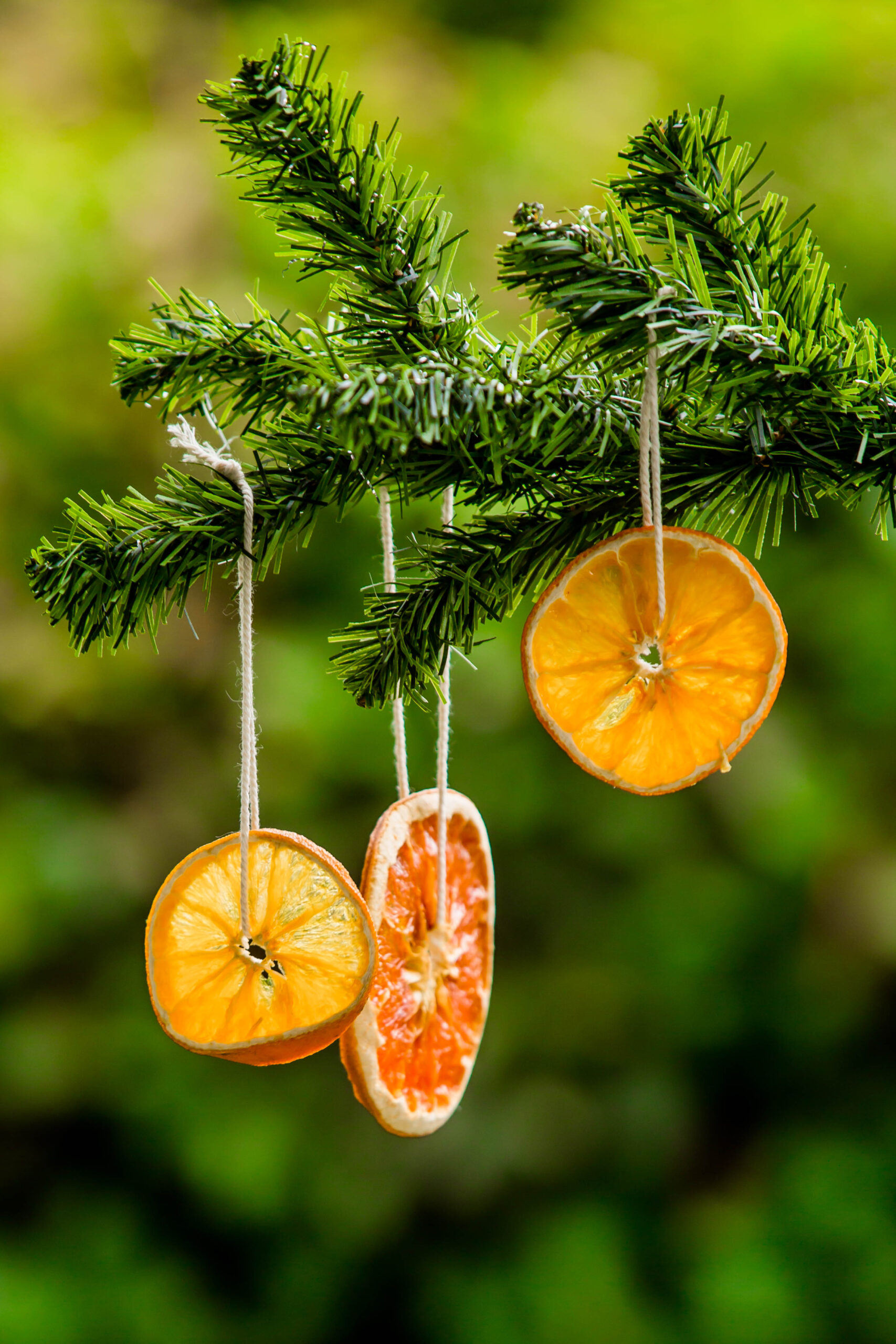 Dehydrated Citrus Decor
